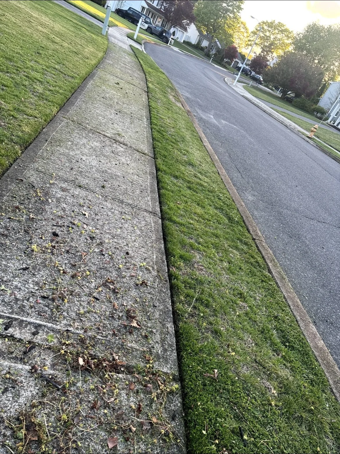 Crisp edge along the curb after Cutter Bandits cut and edged